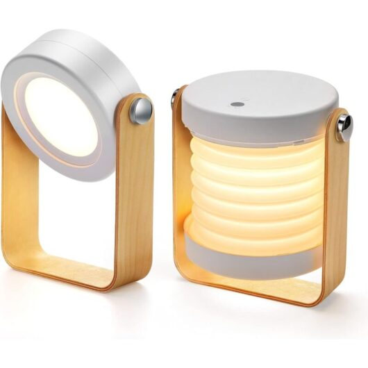 Bedside Lamp Dimmable Touch Light, Bedside Lamp with Portable Nightstand Safe Night Light(White)
